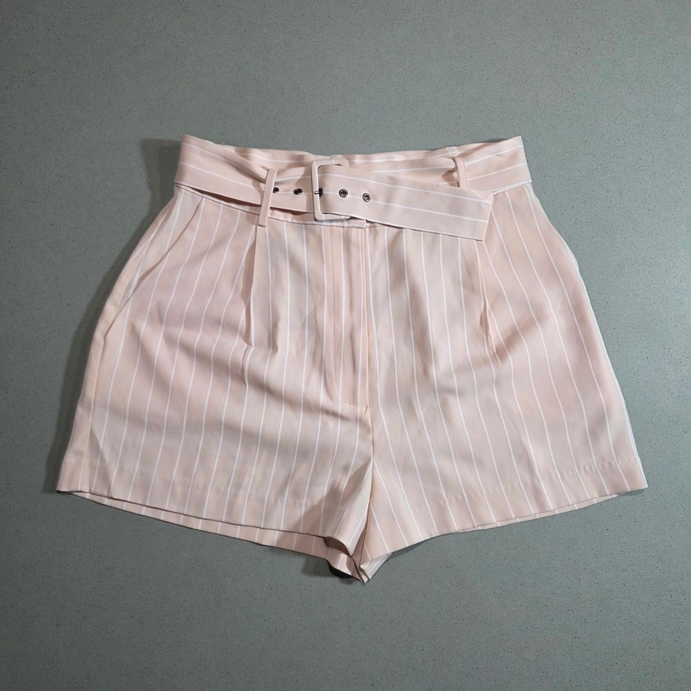 WAYF Blush Stripe High Waisted Belted Pleated Shorts Small NWT 2254WCH